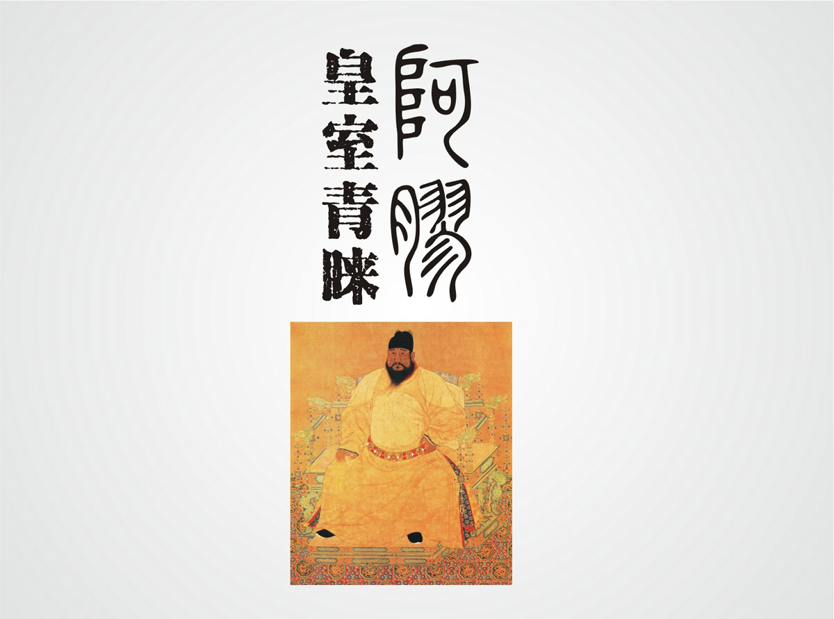 神農(nóng)藥業(yè)阿膠珠包裝設(shè)計(jì)
