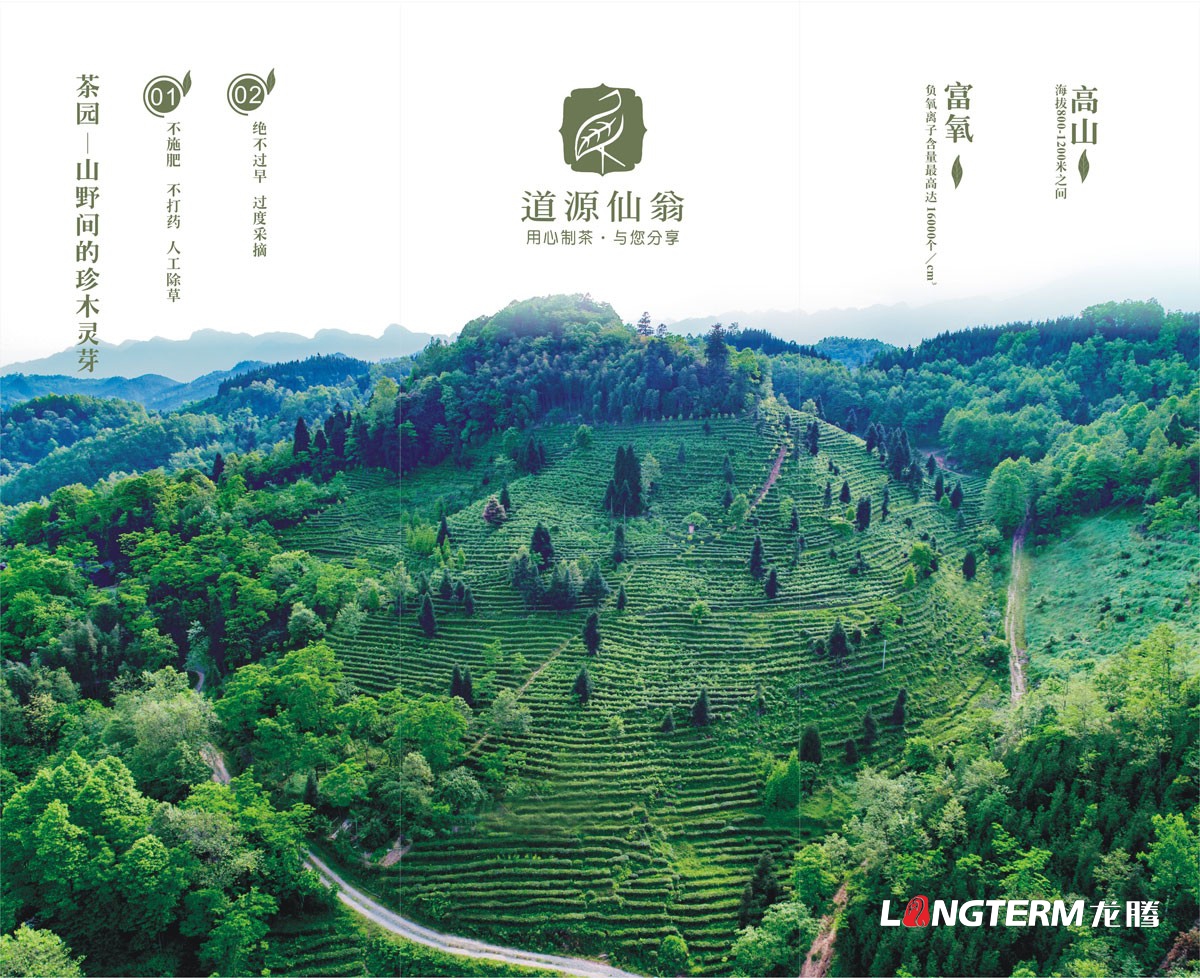 成都道源仙翁茶業(yè)有限公司產(chǎn)品宣傳畫冊設計_大邑縣茶葉折頁廣告物料設計公司