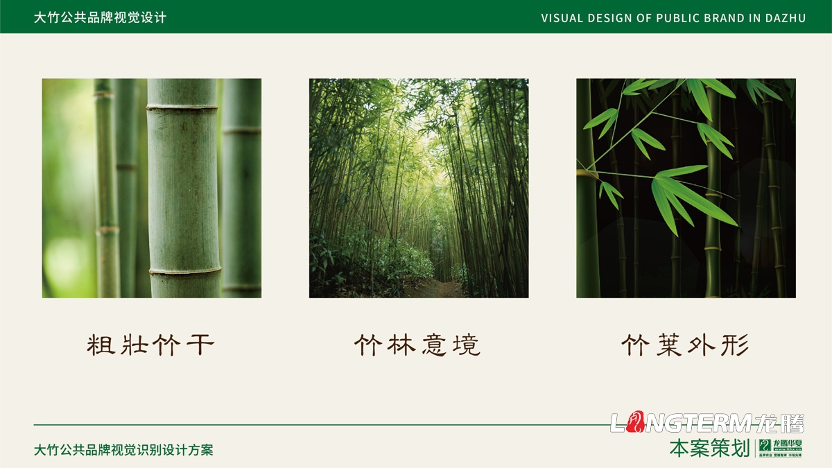達(dá)州市大竹縣農(nóng)產(chǎn)品公共品牌視覺設(shè)計_公共品牌logo及VI設(shè)計公司