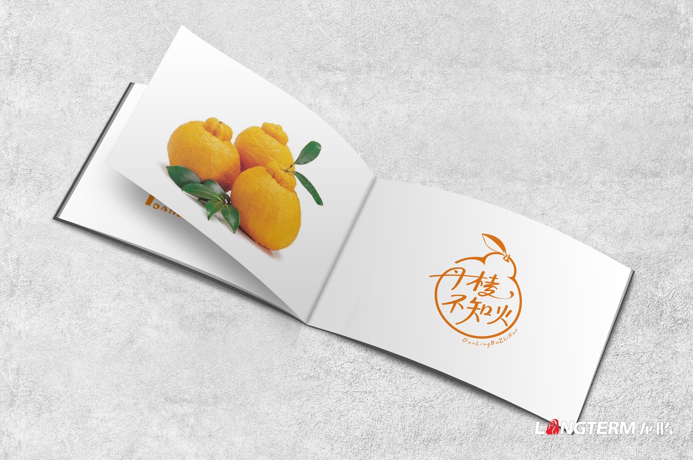 丹棱不知火品牌形象設計|眉山市桔橙水果區(qū)域公用品牌標志LOGO升級