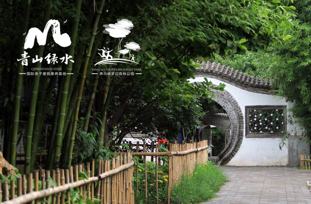 養(yǎng)馬峽青山綠水H5宣傳設(shè)計-LOGO及VI設(shè)計、宣傳冊、官網(wǎng)及公眾號、網(wǎng)絡(luò)運營及營銷、平面物料設(shè)計